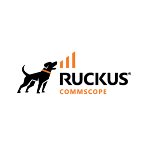 Ruckus Switches