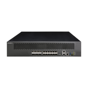 Check Point Protector X80 Quantum DDoS Protector
